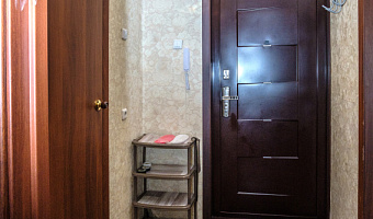 &quot;Dom Vistel Спортивная 11/1&quot; 1-комнатная квартира в Новосибирске - фото 5