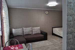1-комнатная квартира Поспелова 15 в Таштаголе фото 3
