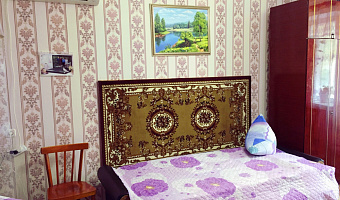 1-комнатная квартира Виноградная 4 в с. Морское (Судак) - фото 4