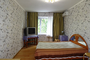 1-комнатная квартира Воровского 58 кв 41 в Сочи фото 5