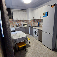 1-комнатная квартира Калараша 46