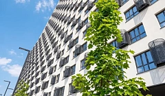 Фото объекта «1-комнатная квартира Бородинская 19 в Уфе», 5
