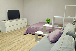 1-комнатная квартира Станкевича 45к1 эт 20