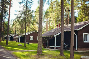 Базы отдыха в Ленинградской области для отдыха с детьми, "Царство Королевство" для отдыха с детьми
