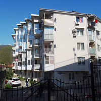 1-комнатная квартира Платановая 15/а кв 40