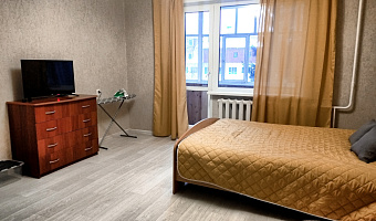&quot;Уютная Рядом с Набережной&quot; 3х-комнатная квартира в Йошкар-Оле - фото 3