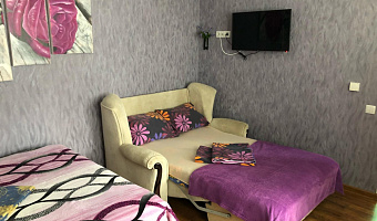 1-комнатная квартира Подвойского 38 в Гурзуфе - фото 5