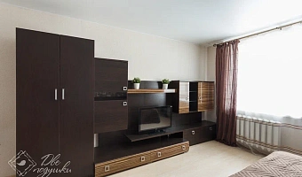 &quot;Две Подушки на Чехова 36&quot; 1-комнатная квартира в Вологде - фото 3