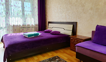 1-комнатная квартира Краснореченская 163 в Хабаровске - фото 4
