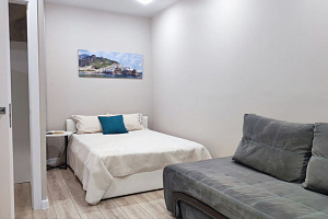 1-комнатная квартира Головкина 4