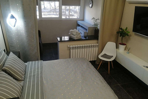 1-комнатная квартира Ясная 28 в Екатеринбурге 5
