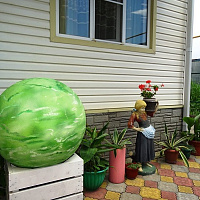 &quot;Кукуруза&quot; гостевые комнаты