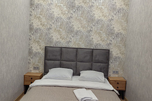 1-комнатная квартира Петра Подзолкова 6 эт 3