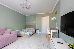 «Сова-Дом на Карла Маркса» 1-комнатная квартира