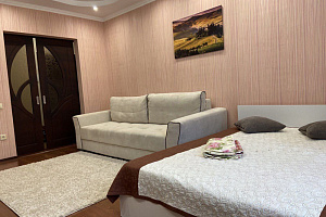 1-комнатная квартира Чистопольская 74 в Казани 4