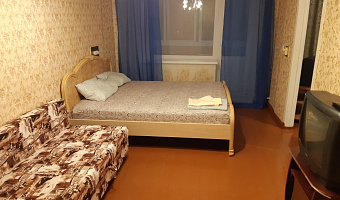 2х-комнатная квартира Гагарина 1 линия 9 в Златоусте - фото 3