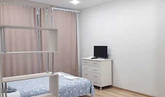 1-комнатная квартира Антикайнена 29 в Петрозаводске - фото 2