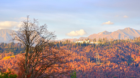 Погода в Сочи в ноябре 2026: честный гид от местного жителя