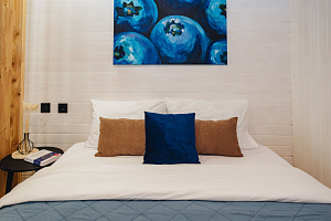 "Эко-лофт Черника" квартира-студия