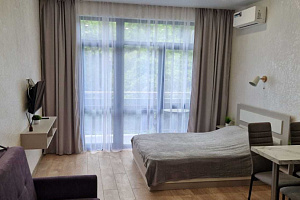 Мини-отели Вардане, квартира-студия Львовская 70Ас3 эт 4 мини-отель