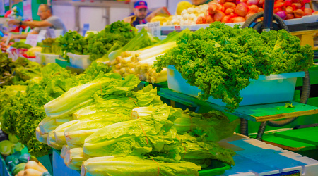 Гастрономическая карта Сочи — где попробовать лучшие локальные продукты