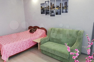 Квартиры Симферополя с размещением с животными, 1-комнатная Батурина 105 с размещением с животными - снять