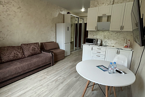 Квартира-студия Яна Фабрициуса 66/4