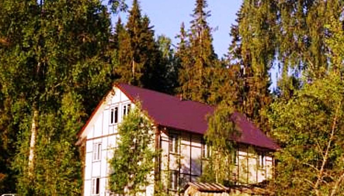 &quot;Дикий шоколад&quot; гостиница в п. Киръявалахти (Сортавала) - фото 1