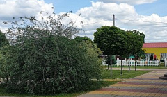 Фото объекта ««ВИК» апарт-отель в п. Отрадное (Воронеж)», 3