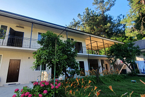 "Сосновый рай" гостевой дом, Частный сектор Пицунды - отзывы, отзывы отдыхающих