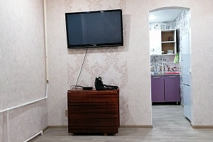 1-комнатная квартира Первомайская 50 в Чернышевске фото 4