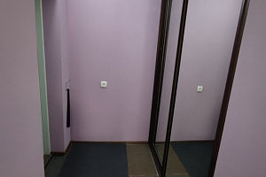 1-комнатная квартира Светлогорский 4 в Красноярске 9