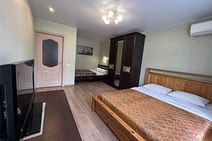 1-комнатная квартира Звездинка 7