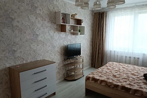 Квартиры Балабанова 1-комнатные, 2х-комнатная Боровская 67 1-комнатная - раннее бронирование
