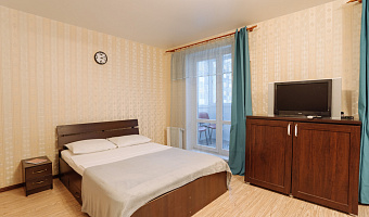 1-комнатная квартира Софьи Ковалевской 16 в Петрозаводске - фото 2