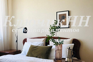 "DaiIyRent-NN" 1-комнатная квартира