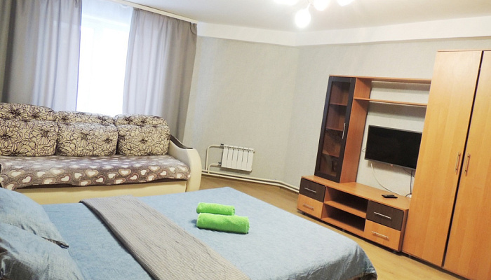 1-комнатная квартира Рыбная 88 в Сергиев Посаде - фото 1