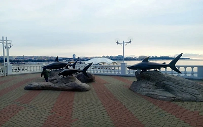 Геленджик в ноябре — отдых, оздоровление и тишина