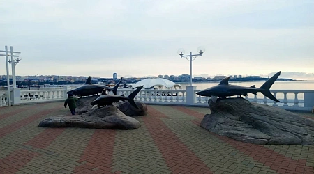 Геленджик в ноябре — отдых, оздоровление и тишина