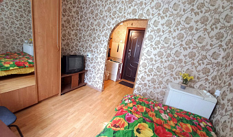 1-комнатная квартира Парашютная 21 в Красноярске - фото 3