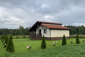 "Щучье веление" дом под-ключ