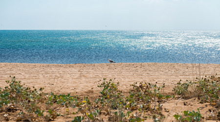 Отдых в Крыму с детьми: 20 лучших пляжей и развлечений для семейного отпуска