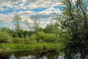 Базы отдыха Пскова загородные, "Череха" загородные - раннее бронирование