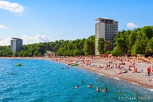 Отели Пицунды