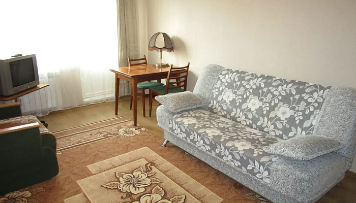 1-комнатная квартира Скуридина 1 в Ломоносове - фото 1