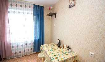 &quot;Dom Vistel Спортивная 17&quot; 1-комнатная квартира в Новосибирске - фото 5