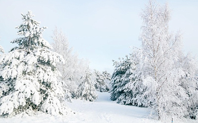 Куршская коса на Новый год 2026 — стоит ли ехать зимой