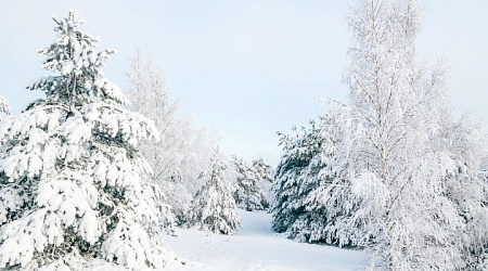 Куршская коса на Новый год 2026 — стоит ли ехать зимой