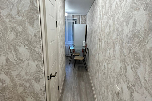 1-комнатная квартира Молчанова 5 в Петропавловске-Камчатском 5