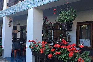 "Зеленый рай" гостевой дом, Отели Дивноморского - отзывы, отзывы отдыхающих